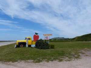 01052014-aardbeien-highway1