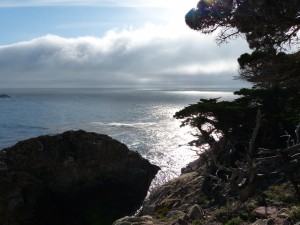 02052014-carmel-point-lobos-1