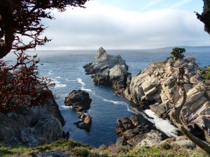 02052014-carmel-point-lobos-2