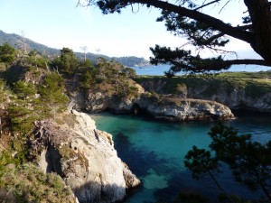 02052014-carmel-point-lobos-3