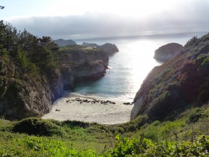 02052014-carmel-point-lobos-5