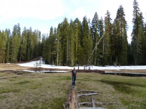 03052014-yosemite-glacierpoint-piste