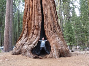 04052014-yosemite-mariposa-inboom