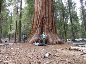 04052014-yosemite-mariposa-uitzicht