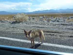 06052014-deathvalley-vriendjes