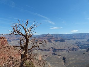 09052014-grandcanyon-tweede-uitzicht