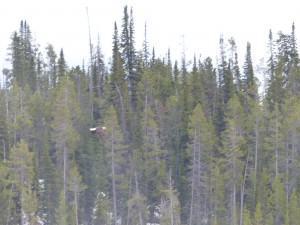 17052014-grandteton-jacksonlake-arend-vaag