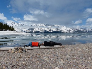 17052014-grandteton-jacksonlake-middagdutje