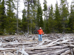 17052014-grandteton-jacksonlake-survivalmiep