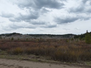 18052014-grandteton-herfstkleuren