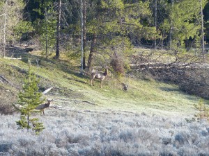 19052014-grandteton-hallodaar