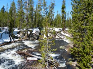 20052014-yosemite-uppergeyserbasin-lonestartrail-fireholeriver