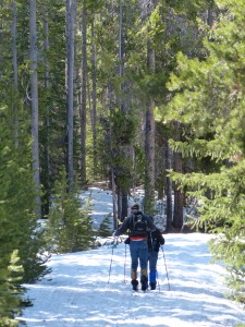 20052014-yosemite-uppergeyserbasin-lonestartrail-langlaufers