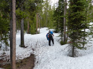 20052014-yosemite-uppergeyserbasin-lonestartrail-ploeteren