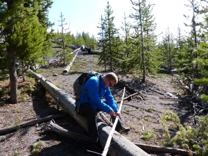 20052014-yosemite-uppergeyserbasin-wandelstokmaken