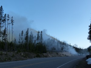 21052014-yellowstone-bosbrandofgeiser