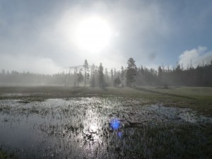 21052014-yellowstone-mist