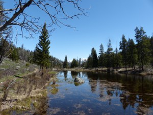 21052014-yellowstone-sloughcreek-lunch