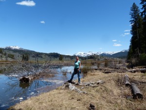 21052014-yellowstone-sloughcreek-miepuitzicht