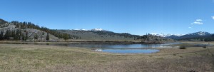 21052014-yellowstone-sloughcreek-panorama