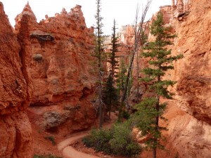 24052014-bryce-navajo-canyon