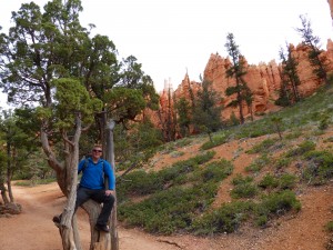 24052014-bryce-navajo-canyon-directeur