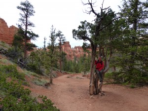 24052014-bryce-navajo-canyon-miep