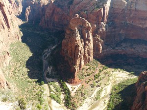 26052014-zion-westrimtrail-angelslanding-bushalte