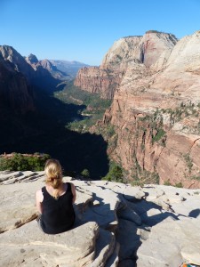 26052014-zion-westrimtrail-angelslanding-zondenoverdenken